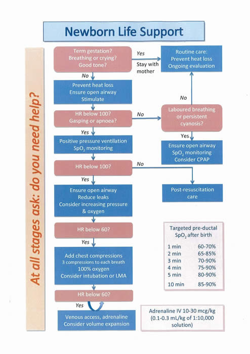 Neonatal Blood Gas Interpretation Chart